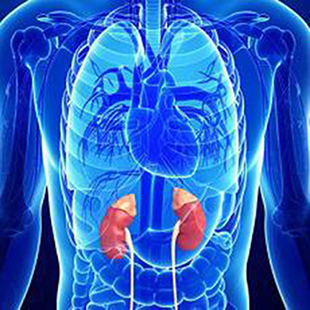 Adrenal insufficiency treatment by Naila's Goldenberg Endocrinology clinic in Maison Ohio