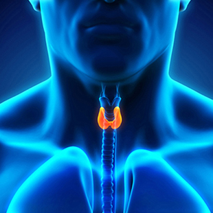 Hypothyroidism treatment by Naila's Goldenberg Endocrinology clinic in Maison Ohio